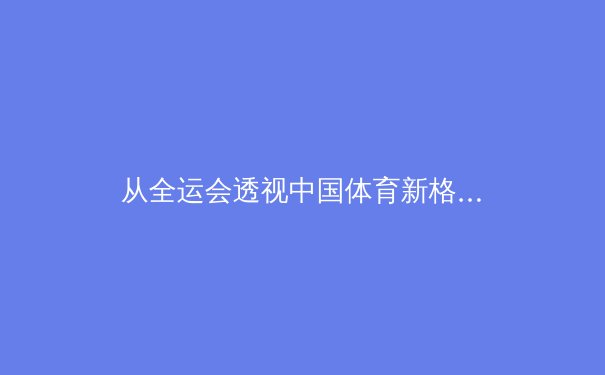 从全运会透视中国体育新格局：群众基础与职业体系的协同进化 - 4